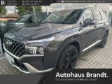 Hyundai SANTA FE Signature 4WD 2.2 CRDi 6-Sitzer HUD Niv - Hyundai SANTA FE aus 2023