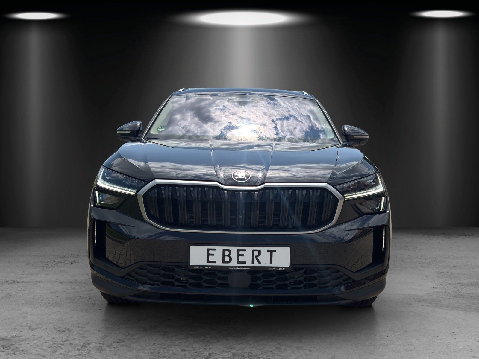 Fahrzeugabbildung SKODA Kodiaq Selection 2,0 TDI 142 kW DSG 4x4