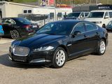 Jaguar XF E-Performance 163PS Pure Automatik Pure