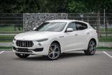 Maserati Levante Benzin 3.0 V6 316kW S GRANLUSSO SQ4 - Maserati Levante SQ4 Gebrauchtwagen