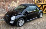 Volkswagen VW Beetle Cabrio 1.6  1Y  101 PS - Volkswagen Beetle aus 2003