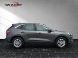 Ford Kuga Titanium 2.0 EcoBlue Automatik Kamera AHK - Ford Kuga Gebrauchtwagen in Berlin