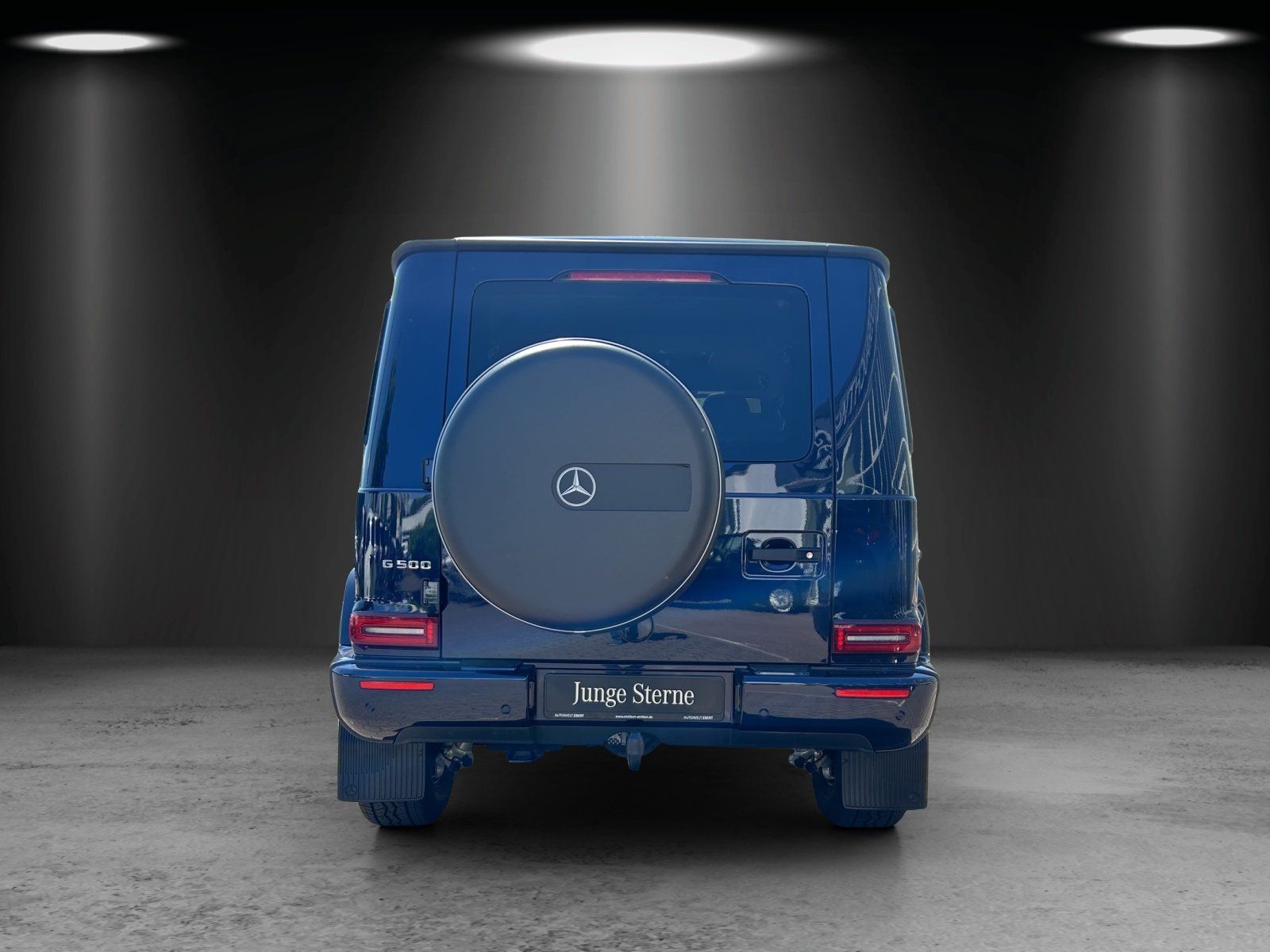 Fahrzeugabbildung Mercedes-Benz G500 Professio AHK Exclusiv Massage Standhz MLED