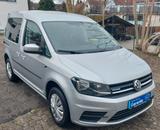 Volkswagen Caddy Nfz Kasten BMT - Erdgas (CNG) Kastenwagen