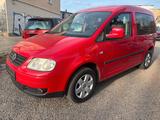 Volkswagen Caddy Life Gewinner Caddy - Volkswagen Caddy: Gewinner