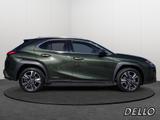 Lexus UX 250h Style Edition LENKRADHEIZUNG LED Carplay - Lexus UX: Style Edition