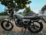 Mash Fifty 50ccm - 2024 - Grau - MASH FIFTY