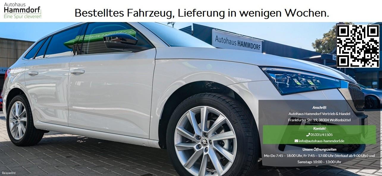 Skoda Kamiq 1.0 TSI DSG Selection WINTER/KOMORT