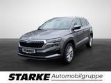 Skoda Karoq 2.0 TDI DSG Selection  AHK Navi LED PDC LM