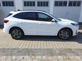 Ford Kuga 1.5 EcoBoost ST-Line Aut.Pandach Ahkpl. All - Ford Kuga mit Anhängerkupplung