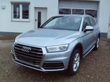 Audi Q5 40 TDI quattro 1-HAND *NAVI/ALU/PDC/AHK* - Audi Q5 Hybrid (Diesel/Elektro): Automatik