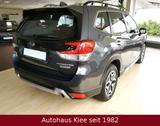 Subaru Forester 2.0 ie "e-Boxer" Automatik LED Cam 1.Hd - gebrauchte Subaru Forester aus dem Jahr 2020