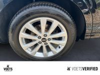 Audi Q3 - Vorschau Bild 6