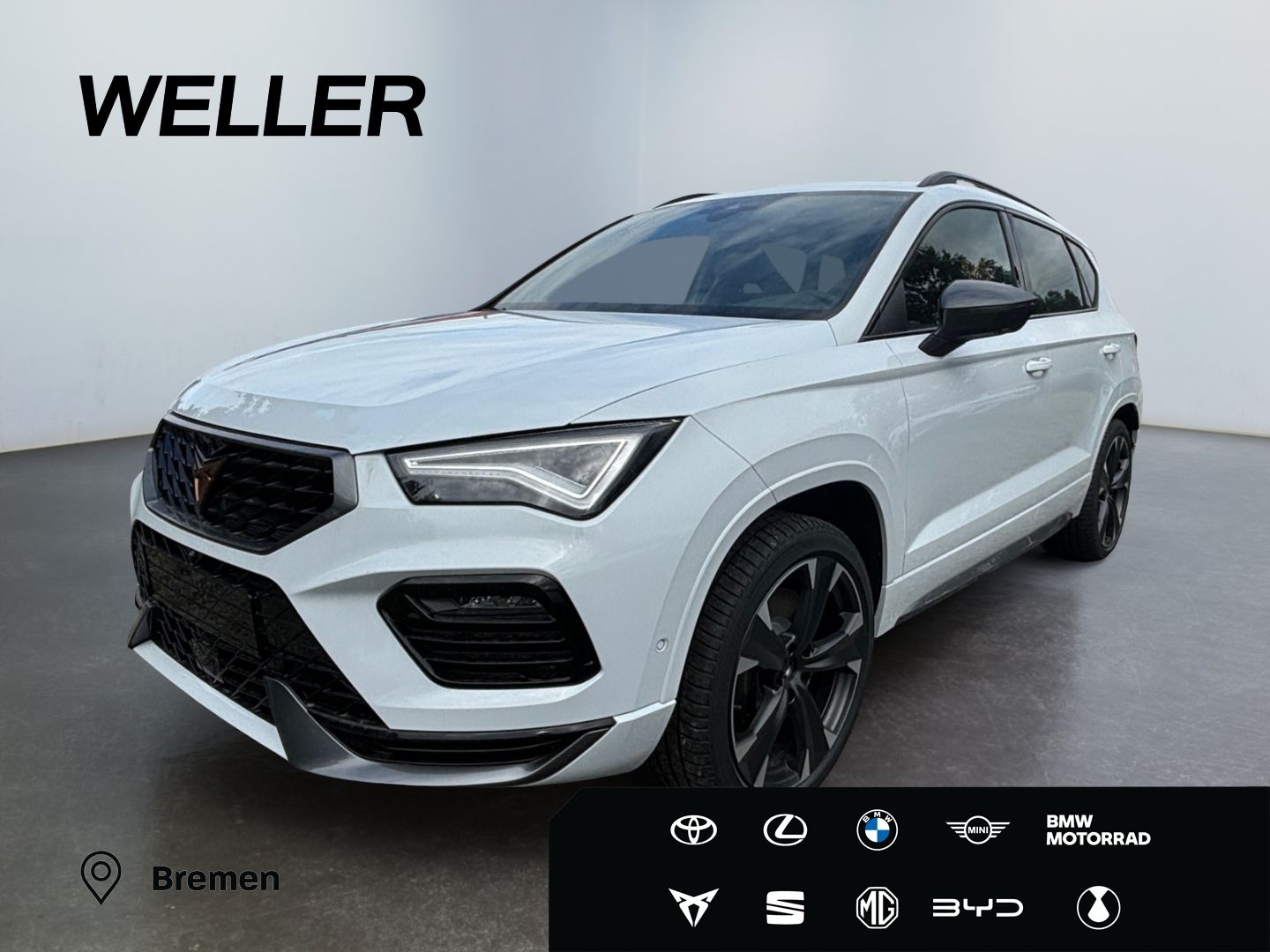 Cupra Ateca 2.0 TSI 4Drive DSG *LED*360*ACC*DCC*el Hec