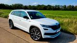 Skoda Kodiaq 2.0 TDI 190PS DSG 4x4 SPORTLINE AHK SH - Skoda Kodiaq: Von Privat