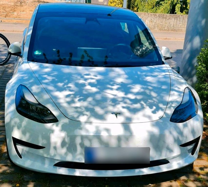 Image of Other Other