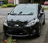 Ford Fiesta 1,25 60kW Trend Trend - Ford Fiesta aus 2010: 1.6