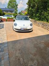 Volkswagen Beetle 2.0 TDI 81kW BMT Cabriolet - - Volkswagen Beetle: TDI