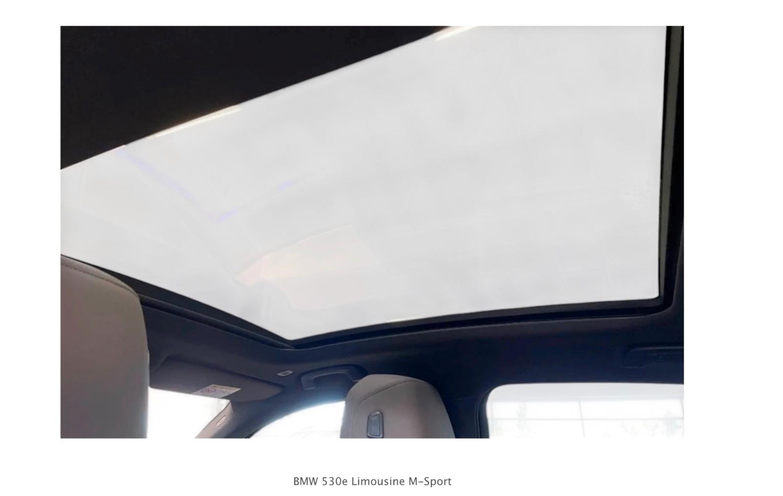 BMW 530e M Sport / PANO / AHK / HK / BRAUN LEDER