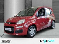 Fiat New Panda - Vorschau Bild 1