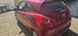 Ford Ka Titanium | KLIMA | TÜV NEU | 1.HAND - Ford Ka & Ka+ Gebrauchtwagen