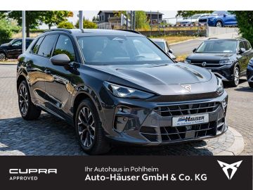 Cupra Terramar - 6