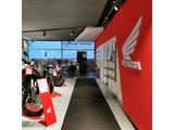 Honda CMX 500 Rebel 2025 Aktionsfahrzeug mit Tz. - CHOPPER 50