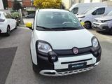 Fiat Panda 1.0 FireFly S&S Hybrid - Fiat Panda Jahreswagen