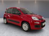 Fiat Panda Pop 1,2 8V KLIMA - Fiat Panda: Pop
