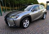 Lexus UX Hybrid Business - silberne Lexus UX