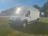Opel Movano Maxi  - gebrauchte Opel Movano aus dem Jahr 2023
