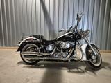Harley-Davidson Softail Deluxe - CHOPPER VON 126 BIS 250 CCM