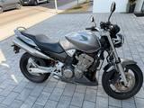 Honda CB900 Hornet - HONDA HORNET 900