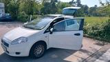 Fiat Puno 1,4 l, weiß, 77 ps - Fiat Punto Gebrauchtwagen in Köln