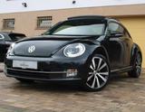 Volkswagen Beetle Exclusive Sport°DSG°PANO°XEN°LEDER°FENDER - Volkswagen Beetle: Exclusive Sport