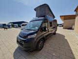 Carado pro+ CV 640 Aufstelldach