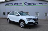 Skoda Karoq 2.0 TDI DSG 4x4 Style ACC/Panorama/Navi - Skoda Karoq aus 2017