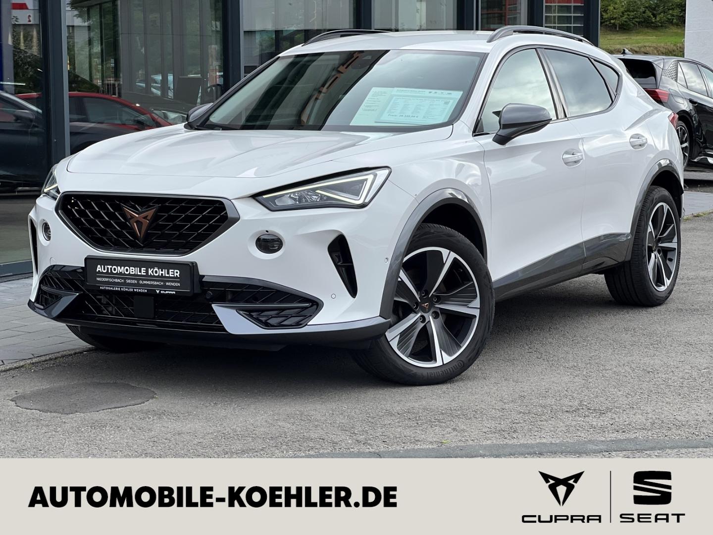 Cupra Formentor 2.0 TSI DSG 4Drive AHK, RVC, Standhzg.