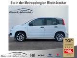 Fiat Panda 0.9 TwinAir Klima 1.Hd PDC Start-Stop Aluf - Fiat Panda mit Benzin-Antrieb: Automatik