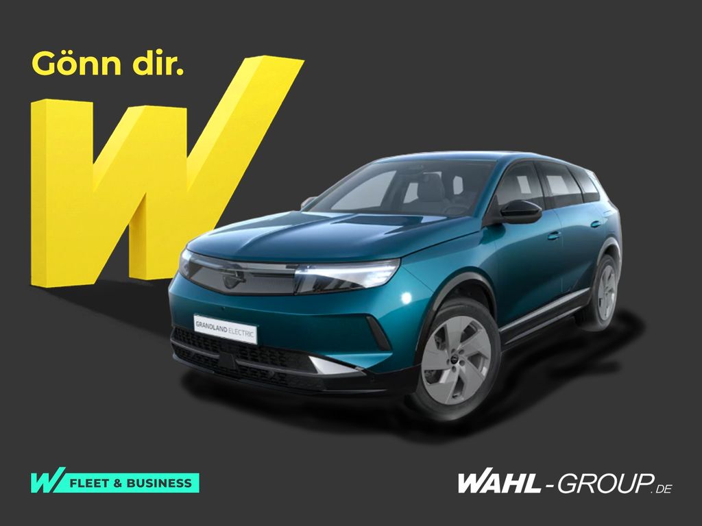 Opel Grandland (X) 73-kWh-Batterie 157 kW Edition
