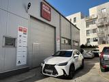 Lexus NX 350h 350h E-FOUR Prestige Plus Safety - Lexus NX 350h Neuwagen