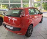 Fiat Punto 1.2 8V POP  Klimaanlage Radio - Fiat Punto: Punto2