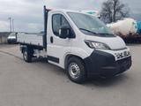 Fiat Ducato Serie II  L3 Maxi  3 Seiten-Kipper 180 PS - Angebote entsprechen deinen Suchkriterien