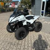 Can-Am Renegade STD T 650  / Lagerfahrzeug - CAN-AM 650