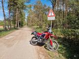 Honda CRF 300 Rally + Wilbers - Honda CRF300 Rally