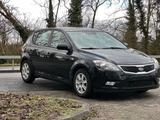 Kia cee'd / Ceed - Kia cee'd / Ceed in Wiesbaden