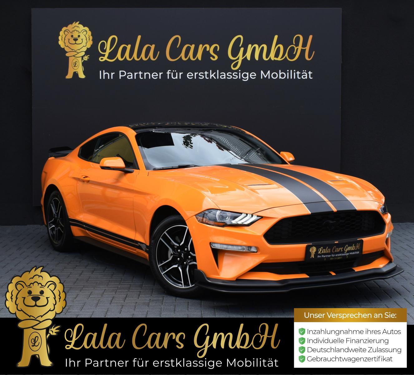 Ford Mustang Fastback/6-GANG/PERFORMANCE-PAKET/DAB
