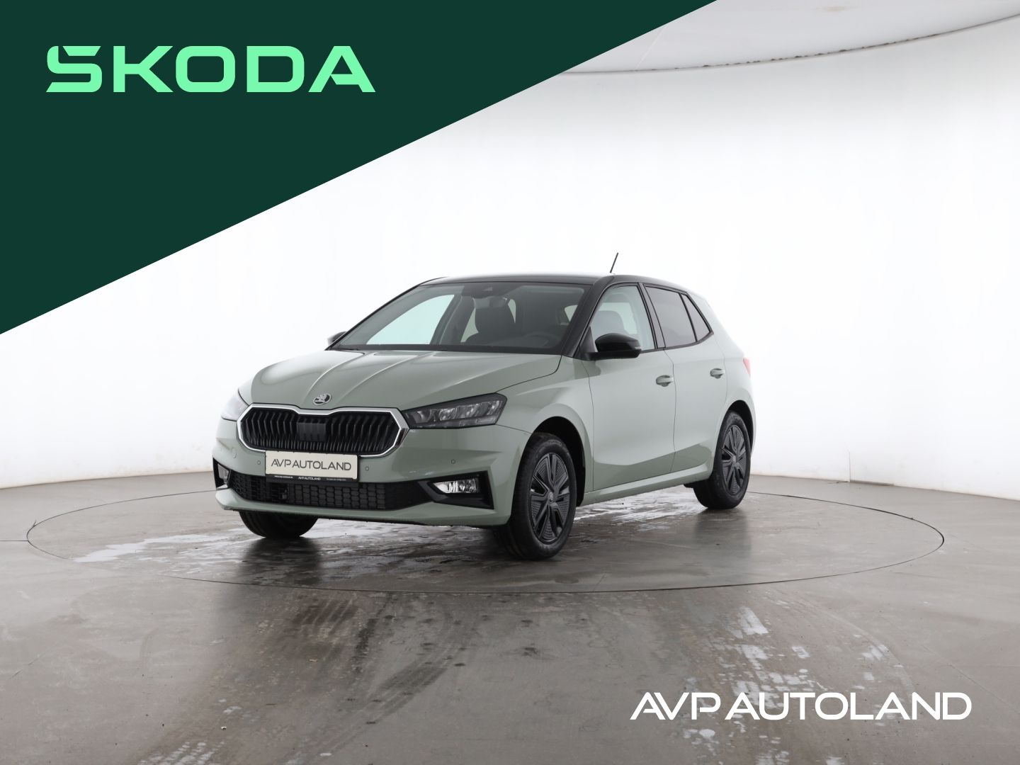 Skoda FABIA 1.0 TSI SELECTION | RÜCKFAHRKAMERA |