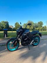 Yamaha MT 125 (nur 200km) - YAMAHA 200