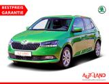 Skoda Fabia 1.0 MPI Clever LED Navi Sitzheizung DAB - Skoda Fabia Gebrauchtwagen in Dresden